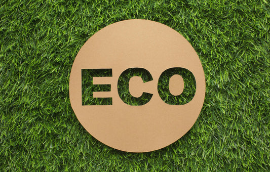 Eco-Friendly: The Sustainability of Hardwood