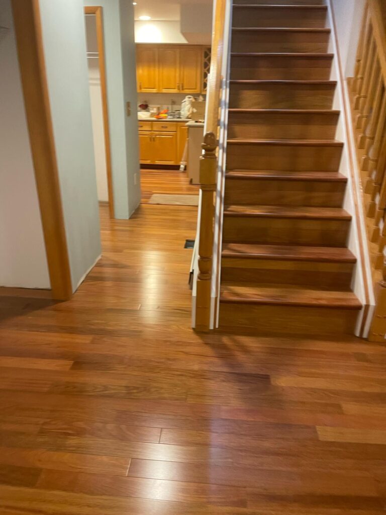 Brazilian Cherry, Fadeyev residence, New Jersey